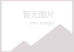 岐山县心底零售有限公司